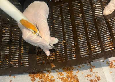 la propolis est extraite des grilles posées sur les ruches en fin de miellée