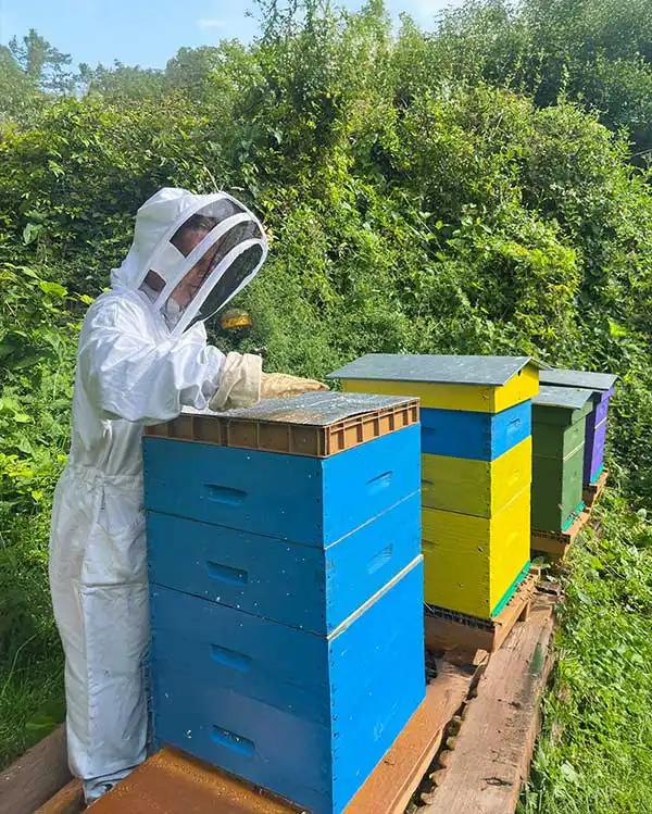 le-rucher-de-paco-ruche Produits à la cire d’abeille miel et huiles végétales