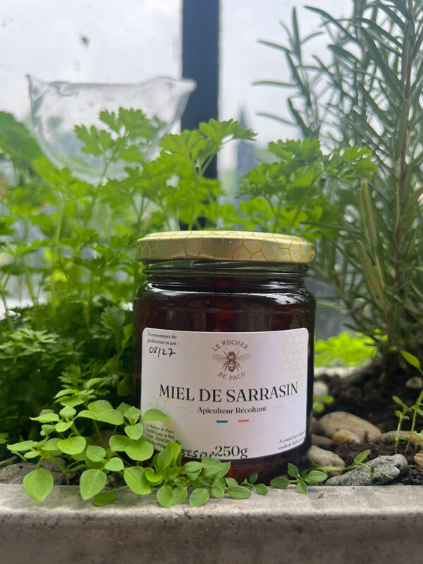 Miel de sarrasin apiculteur récoltant - Le Rucher de Paco